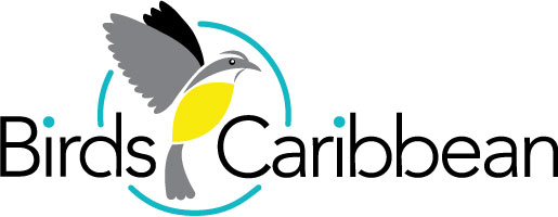 birds caribbean