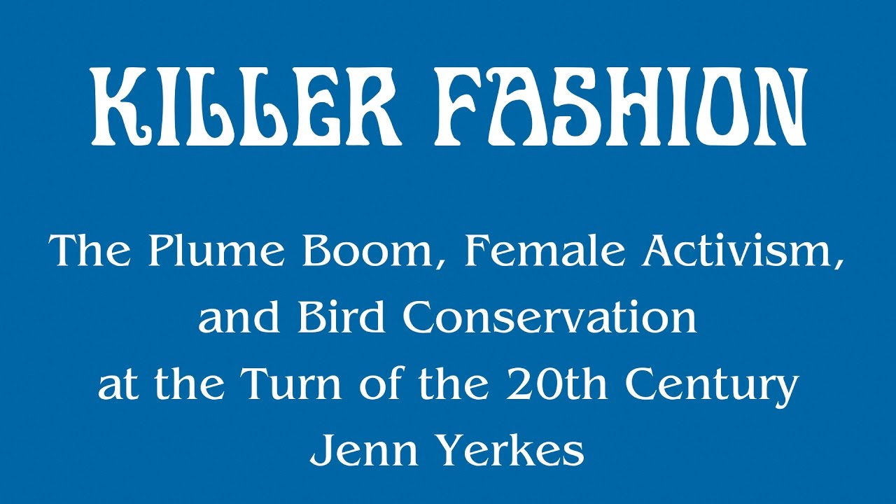 Killer Fashion Seegrape Caribbean Nature and Heritage Videos